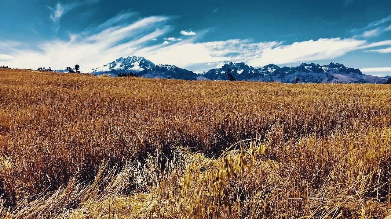 Bravo grew up running through his family's fields, surrounded by snow-capped mountains.