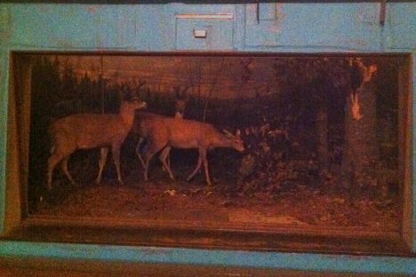 Abandoned Diorama