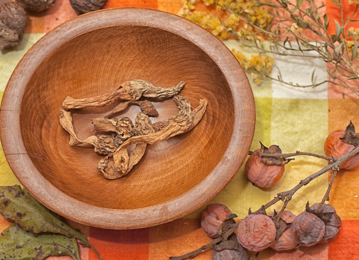 Dehydrated morels and persimmons on Marion's kitchen table.