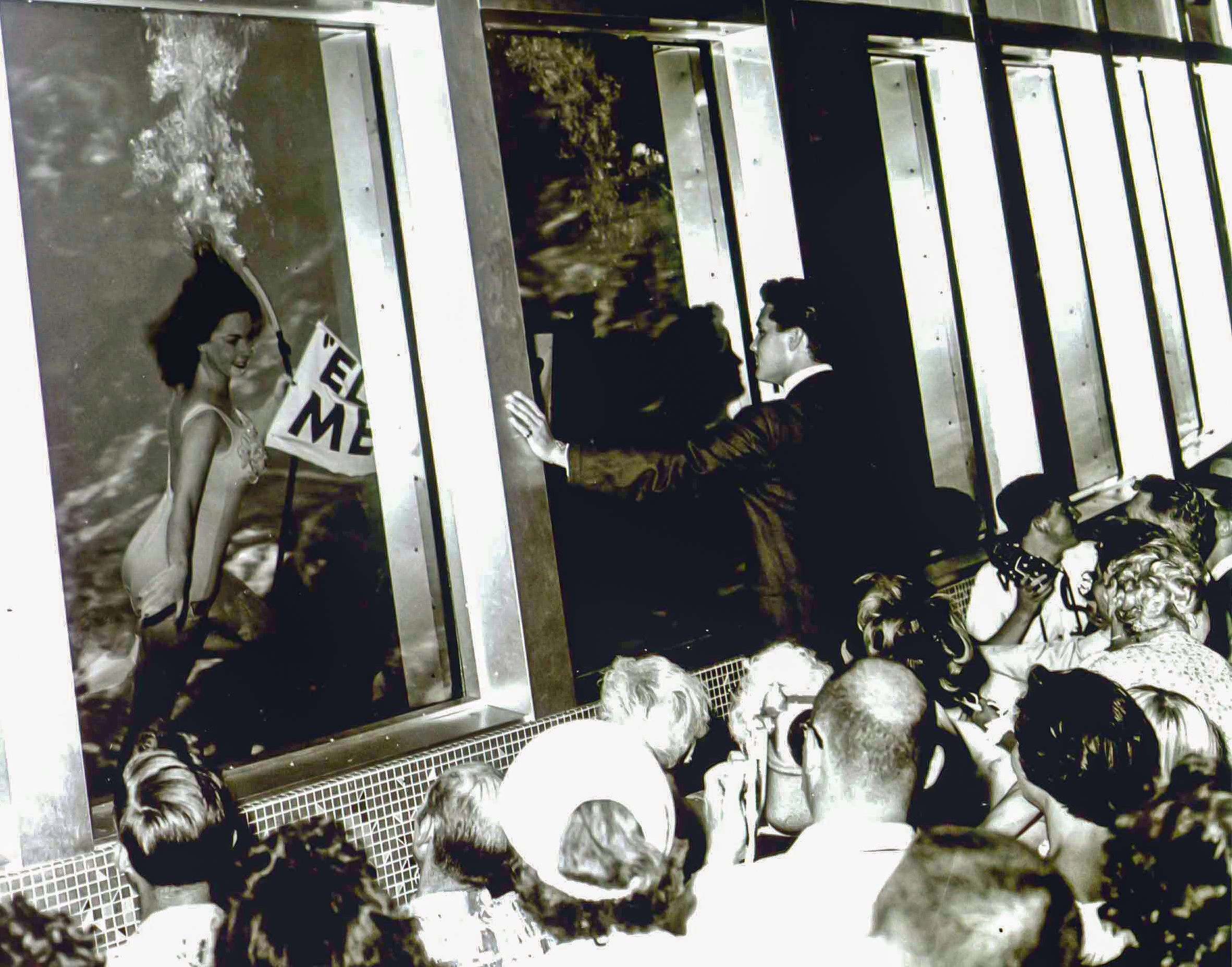 While filming “Follow That Dream” several towns over in 1961, Elvis traveled to Weeki Wachee to meet live mermaids.