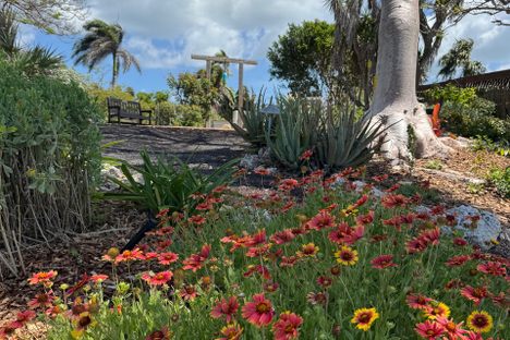 The labyrinth is surrounded by colorful blanket flowers.  