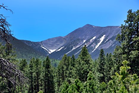 Humphreys Peak
