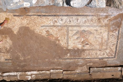 The excavated mosaics.