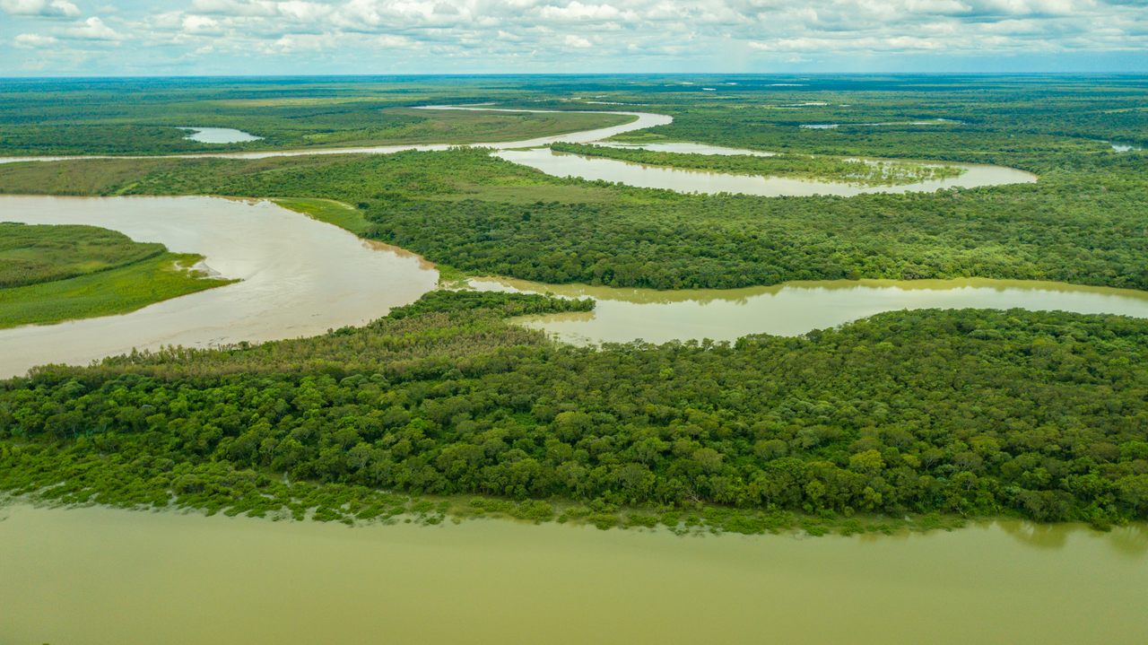 The Teuco River winds through Argentina's Chaco Province, including a portion of El Impenetrable National Park.