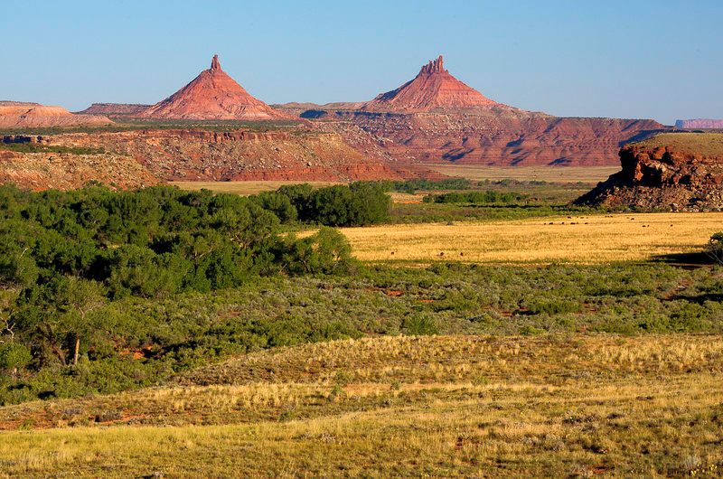 Priceless fossils and fossilized tracks of ancient animals can be found in Indian Creek.