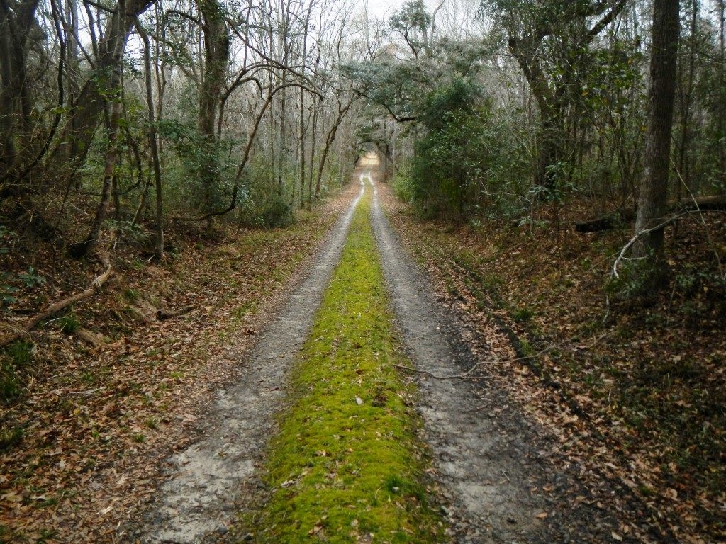 The Laurens Run, named for the path the revolutionary colonel took to his death, will be part of the Liberty Trail network.
