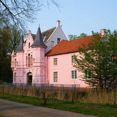 The abandoned pink castle.
