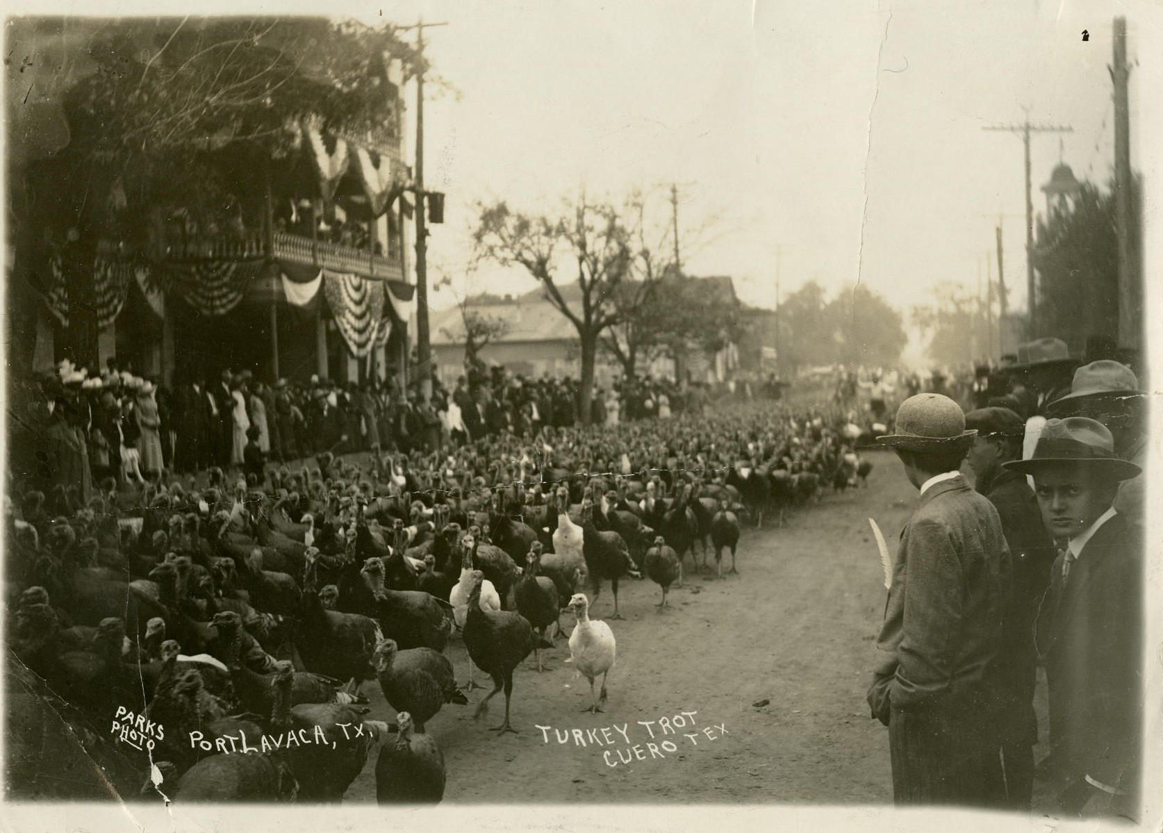 An excited crowd gathers for the 