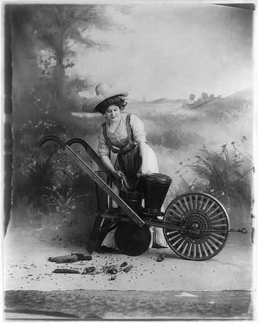 A woman pouring corn seed into a planter, c. 1906.