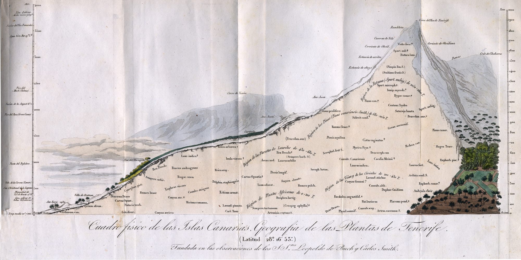 An early map of Humboldt's, illustrating the various phenomena that make up Teneriffe, one of the Canary Islands.