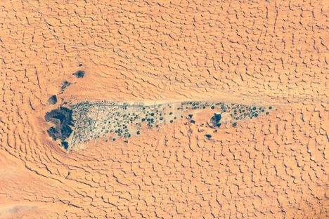 A green smudge in a sun-baked orange expanse, the modern oasis of Jubbah was once a lake, and may have appealed to the first members of our species to leave Africa.