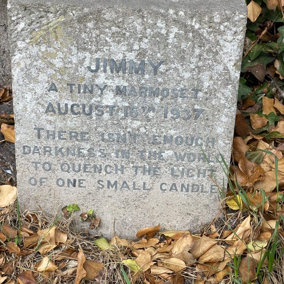 Grave of Jimmy, a Tiny Marmoset – Henley-on-Thames, England