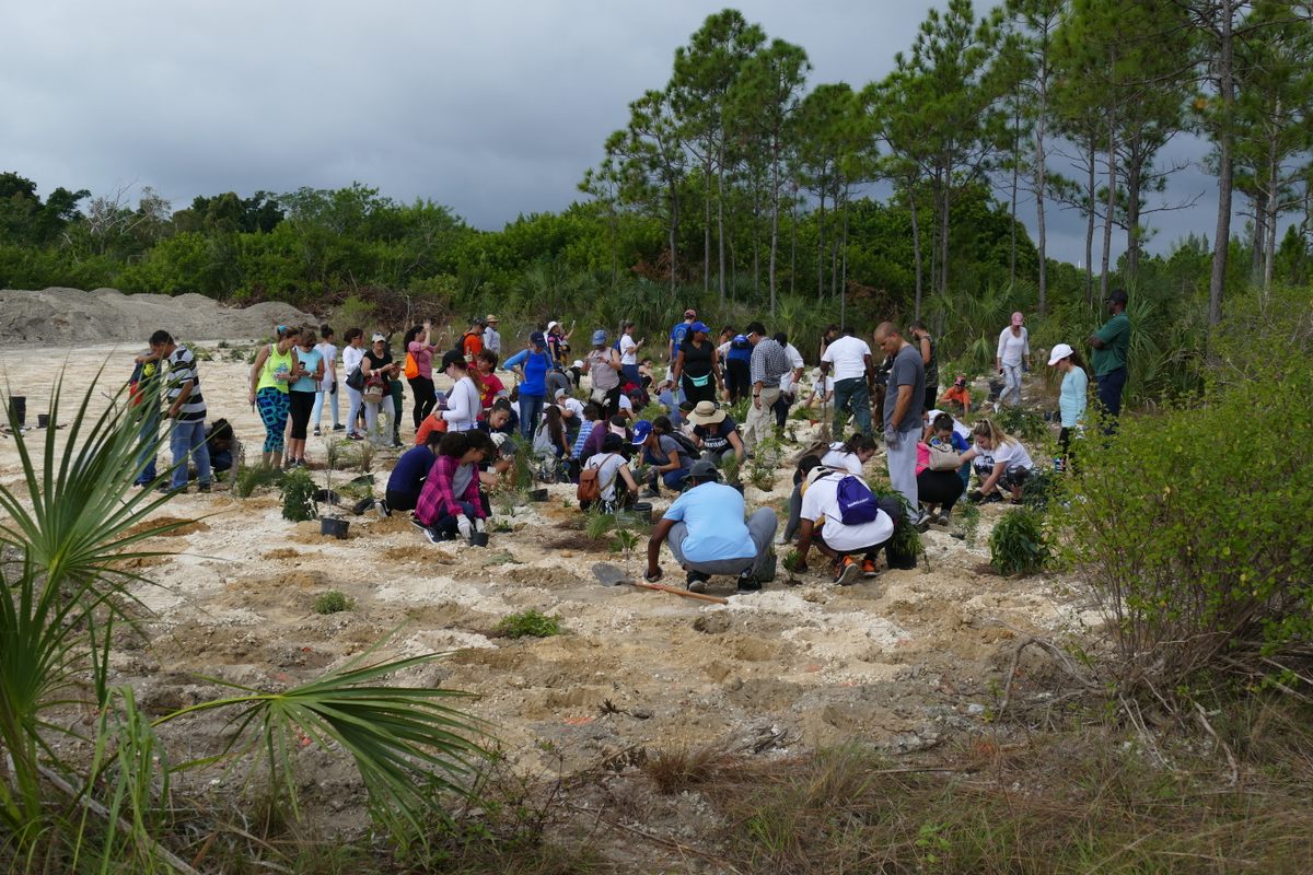 Volunteers at a recent replanting event.