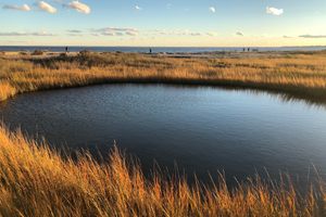 Photo of Milford