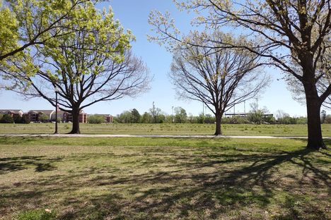 The prairie after it's semi-annual mowing