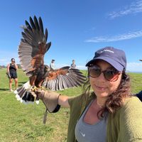 Profile image for everywhereemily