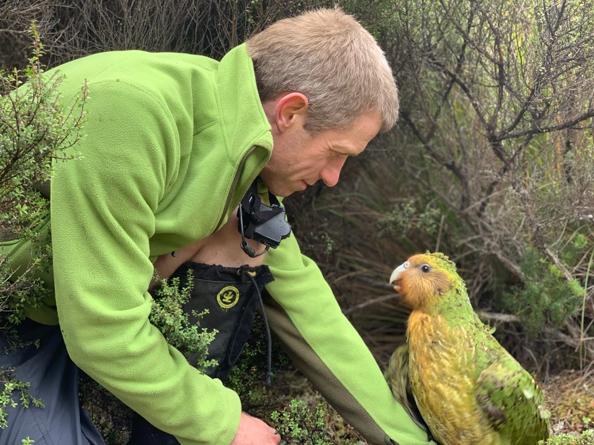Conservationist Andrew Digby with a kākāpō.