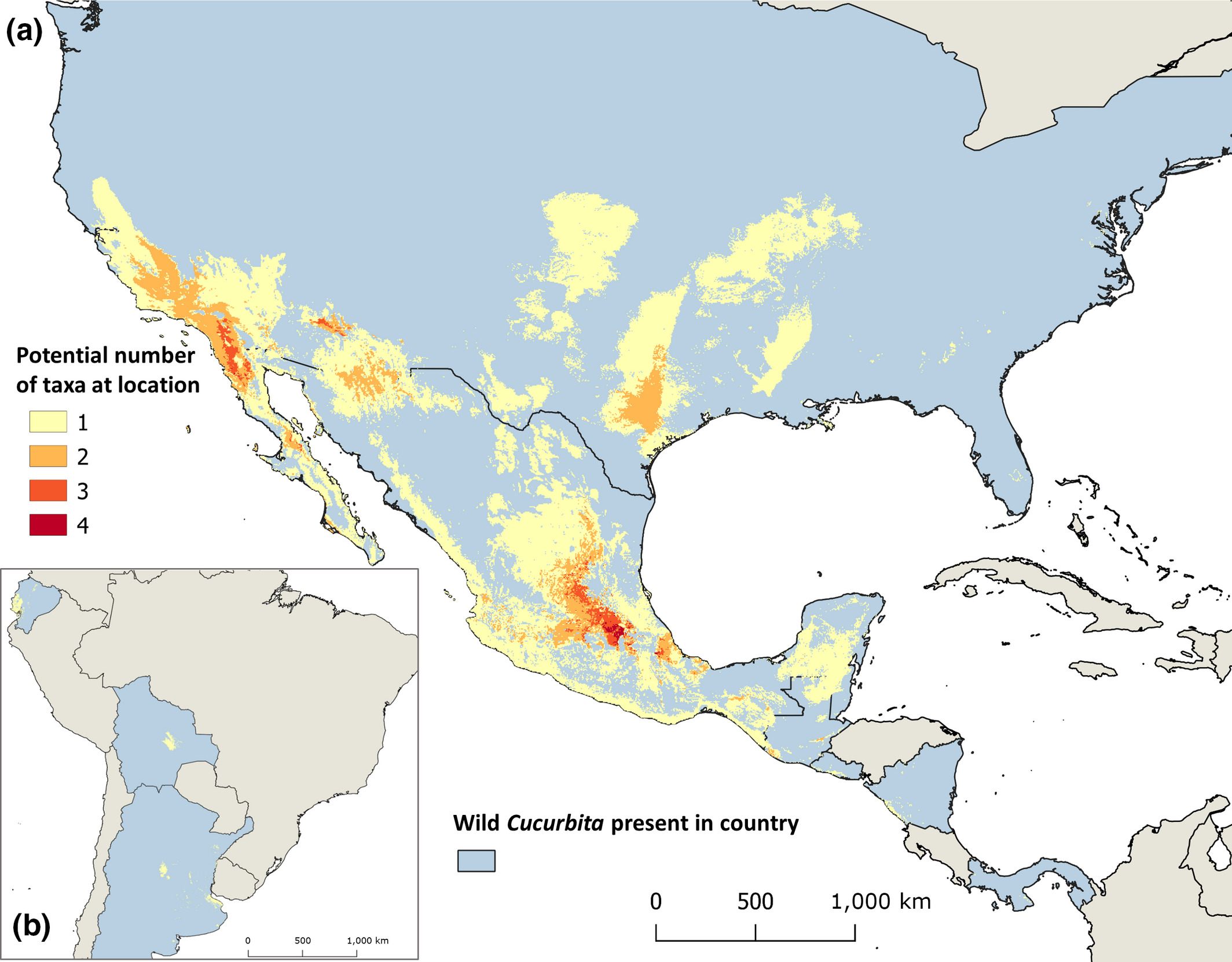 Khoury and his colleagues combined data from herbaria specimens and field work to map where the highest concentrations of squash wild relatives are likely to be found.
