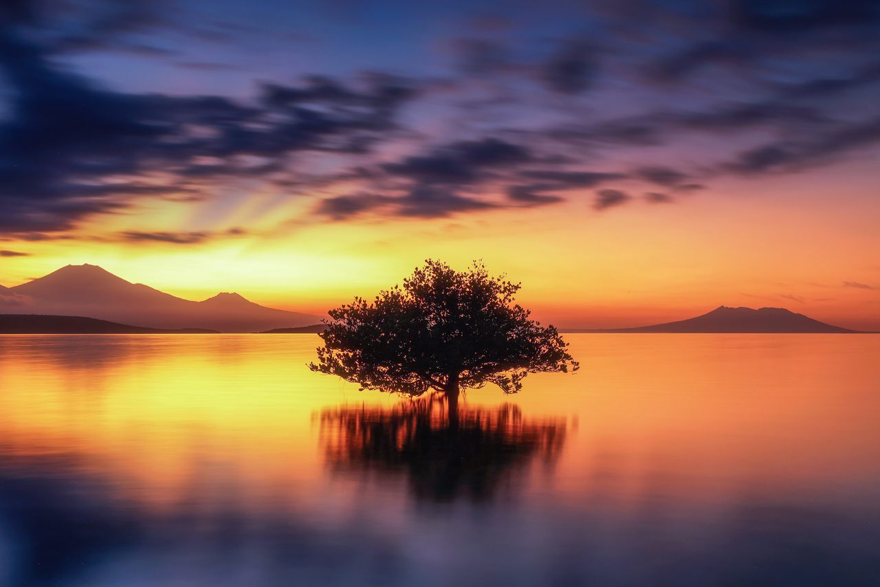 巴厘岛太阳在西方国家公园,进入第一个三暮色搏斗,预示着全世界。