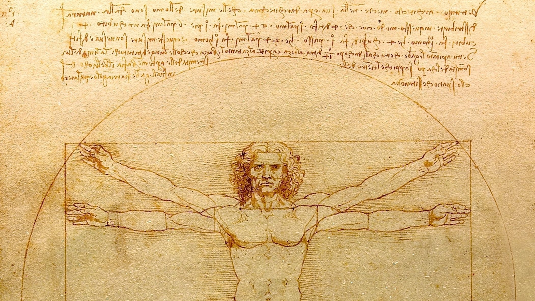 Vitruvian man Леонардо да Винчи
