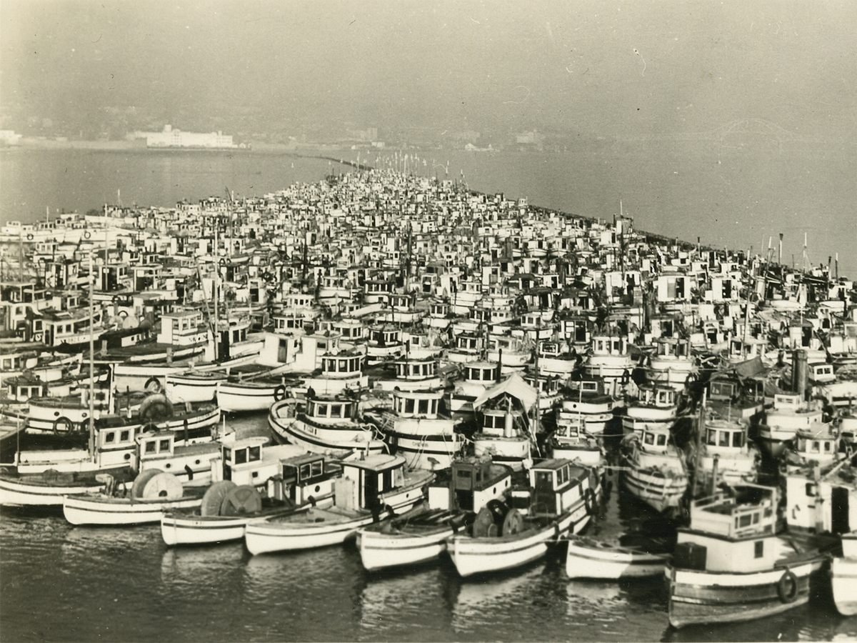 Confiscated boats were held at the Annieville Dyke on the Fraser River in British Columbia.**