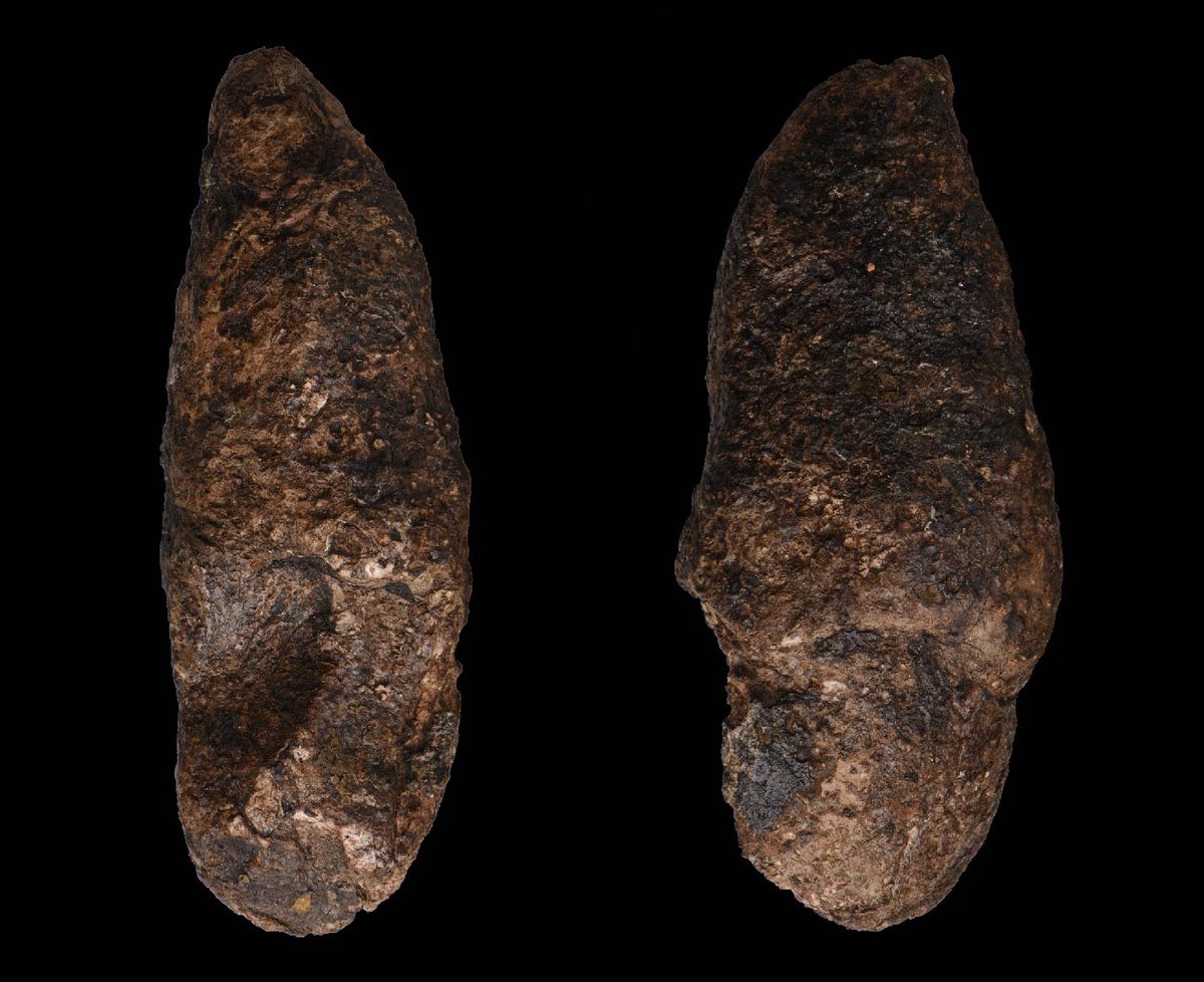 The coprolite bears the print of a crocodilian's digits.