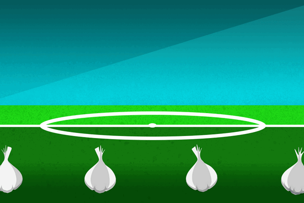 Can garlic help you win a soccer match?