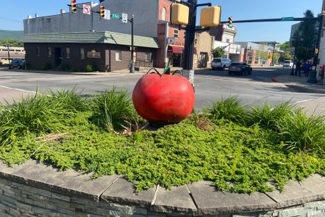 Quality Tomato Capital of the World Statue