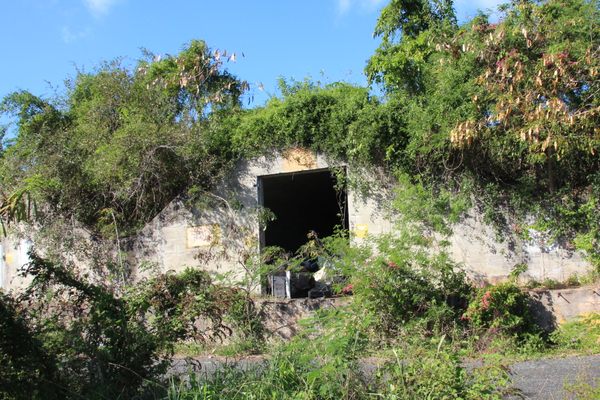 Vieques Military Bunkers