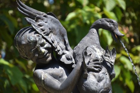 The Duck’s Fountain