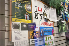 The community board at Rex’s Dino Store advertises all kinds of NYC-specific dino services.