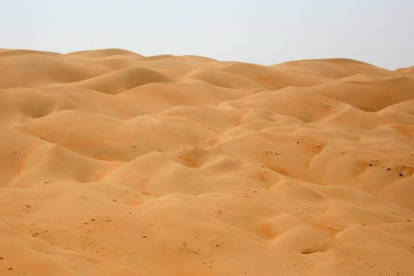 Dunes of Liwa. Courtesy of Sammy Dallal