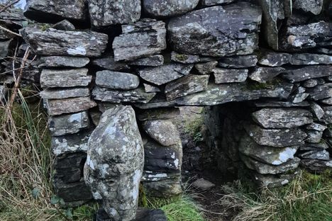 A face in situ!