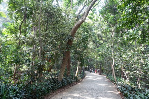 The park.