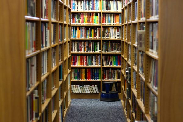 Sometimes it takes a transgression to keep the shelves filled.