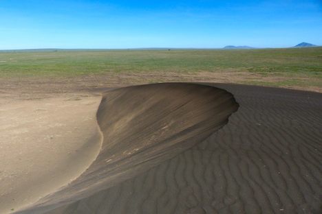 The sand dunes.