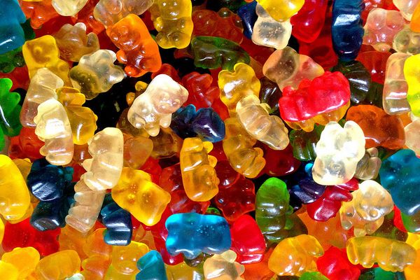 Haribo sugar free gummy bears