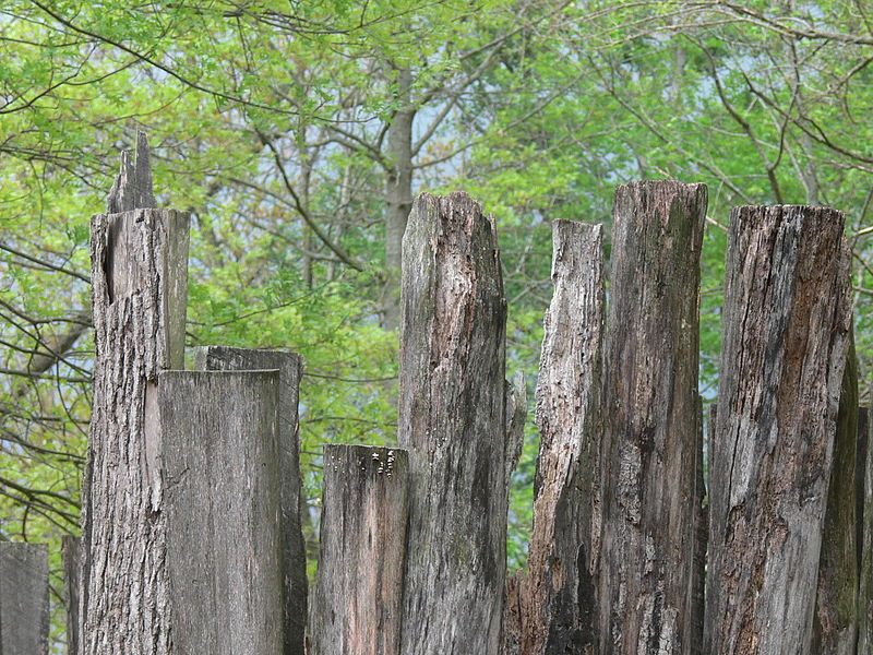 Not the actual fence.
