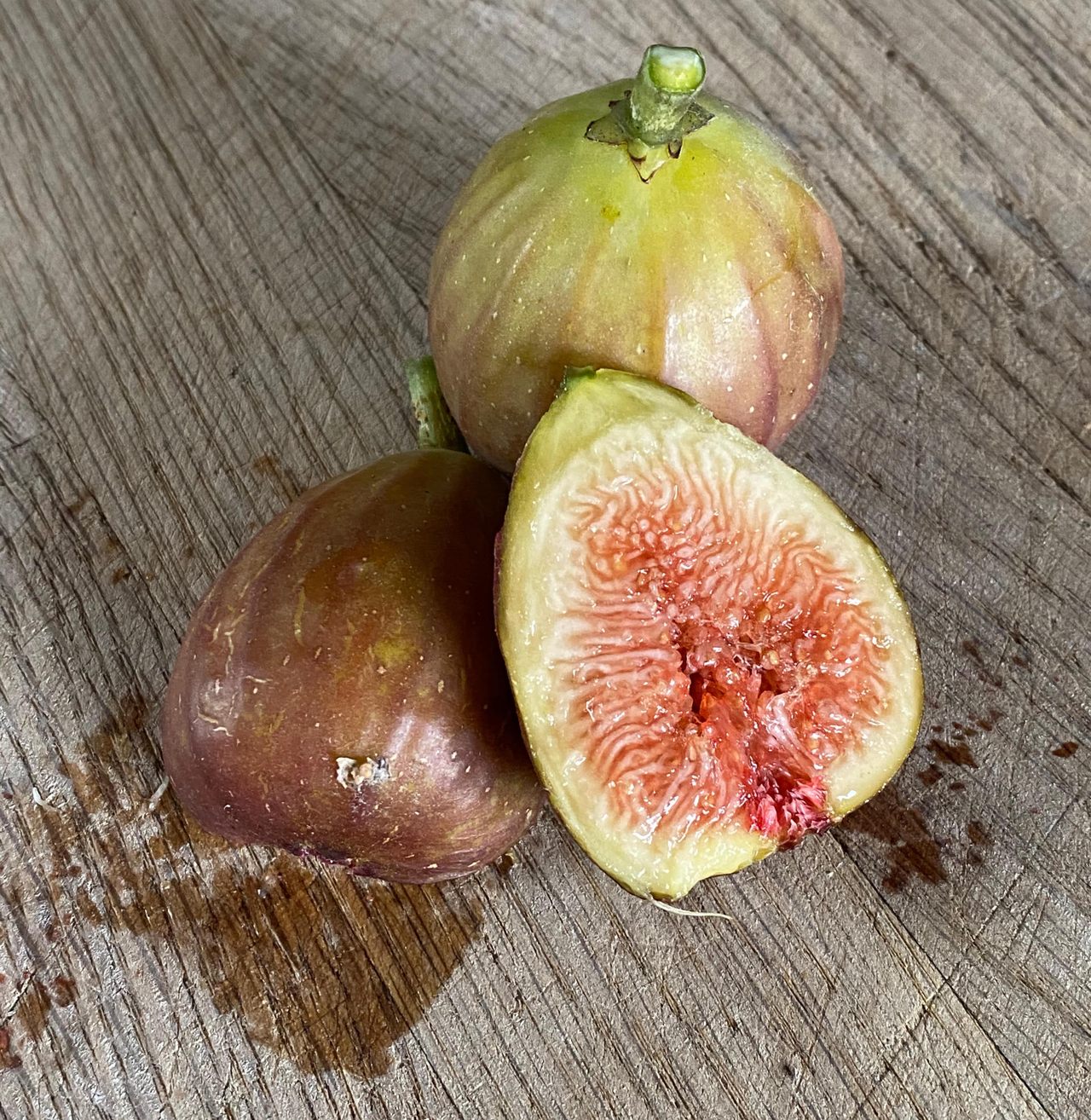 The Higby variety of the Hog Island Fig.