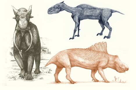 Elephants, zebras, and rhinos would all look pretty different if they were interpreted the same way dinosaurs are.