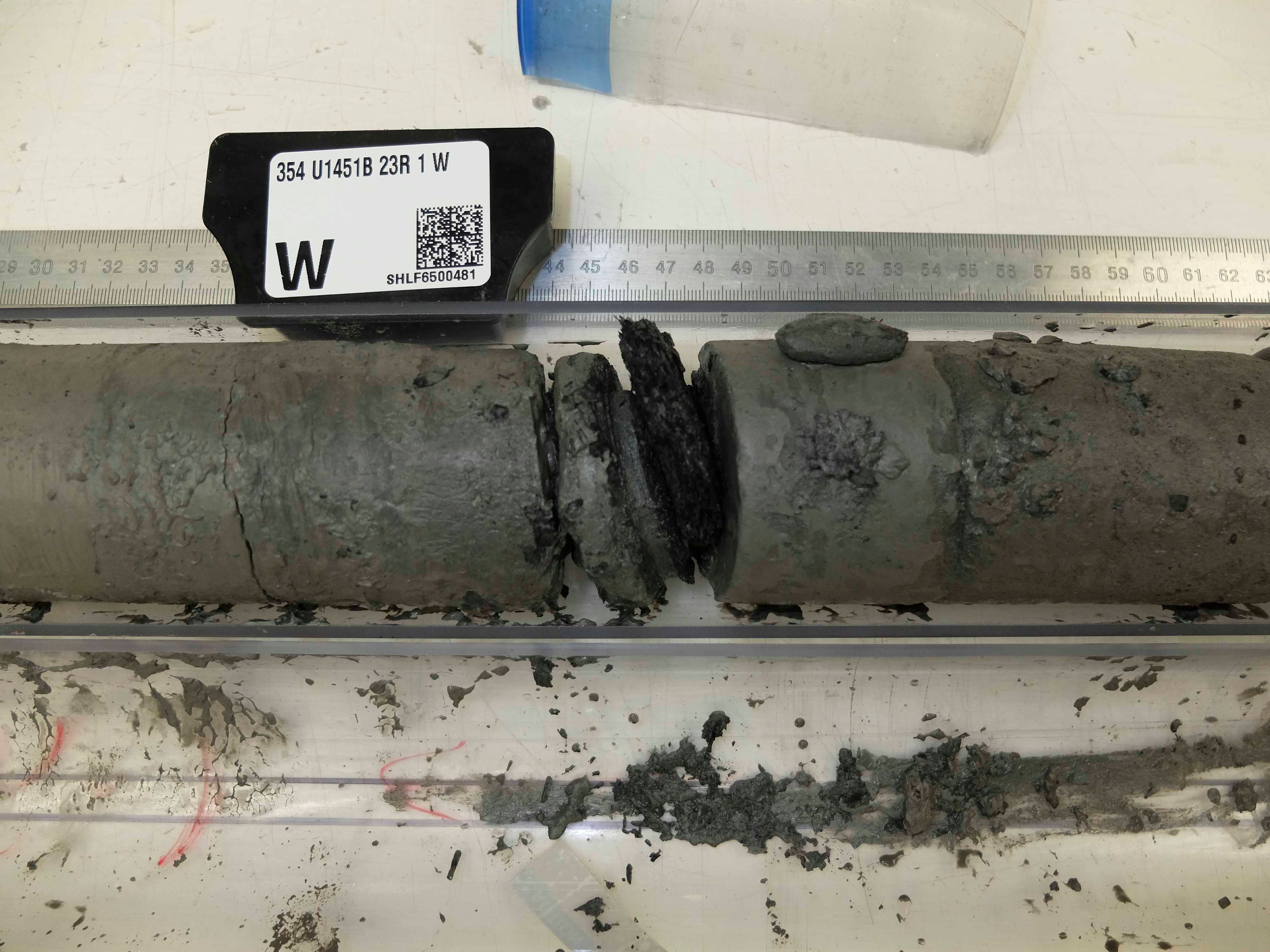 A black sliver of accumulated wood intersects the sediment layer.