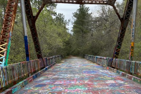 Suwanee Springs Bridge (The Bridge to Nowhere)