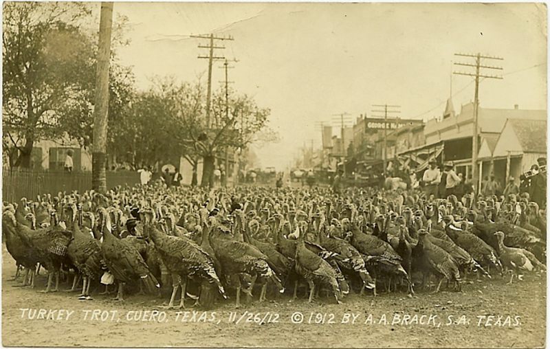 A postcard from 1912 of the turkey trot in Cuero, Texas.