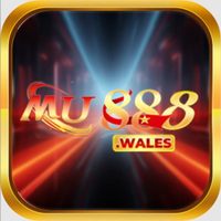 Profile image for mu888wales