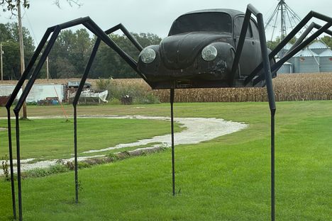 Volkswagen Beetle Spider