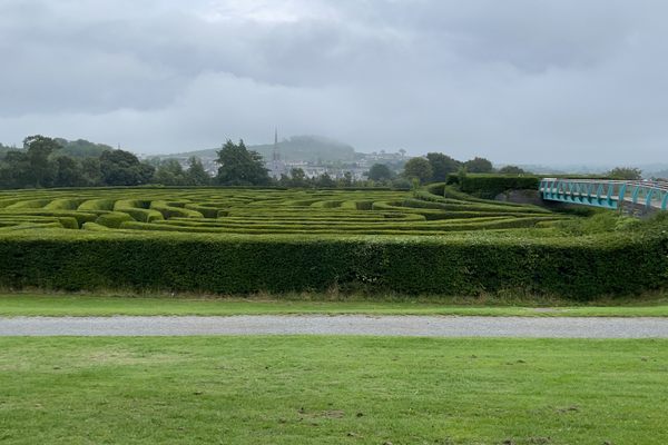 Maze having annual trim 10 September 2021