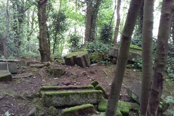 The ruins in the wood.