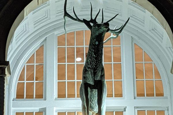 The Elk of Prince Street