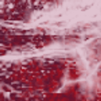 Profile image for hopperandrews56qbzouk