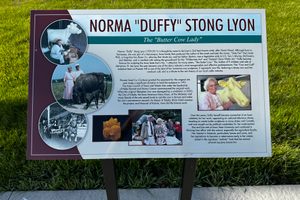 Sign next to the cow-calf sculpture describing the life of Norma "Duffy" Stong Lyon